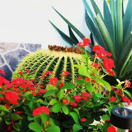 Sunny Nyaraló Costa Adeje (Tenerife)